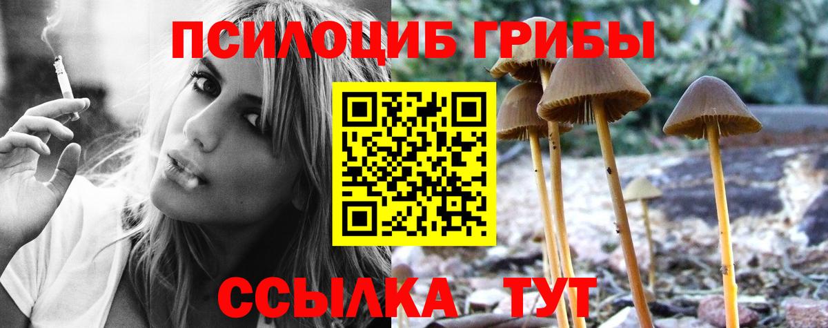 Псилоцибиновые грибы Magic Shrooms Кемерово
