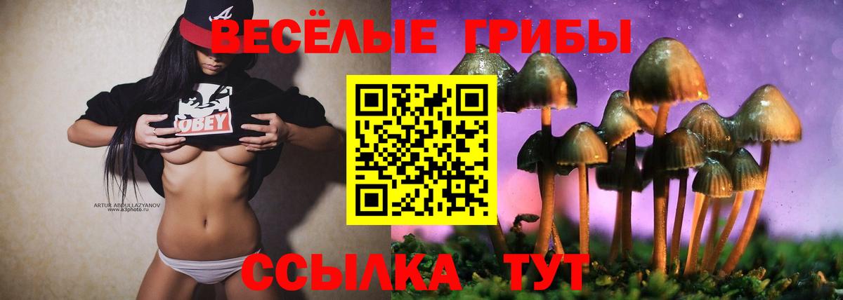 Галлюциногенные грибы Psilocybine cubensis  Галлюциногенные грибы Psilocybine cubensis  Кемерово  Вход с VPN 