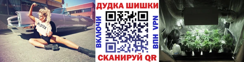 Марихуана Amnesia  Кемерово 
